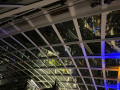 Not in the Night Sky Garden, The Fenchurch Building, London